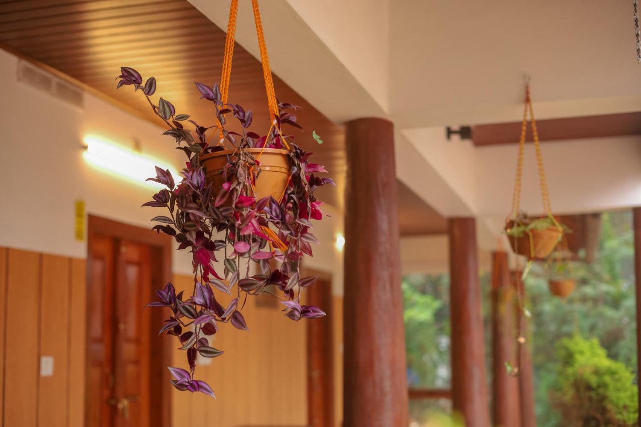 Swastha Plantation Homestay Kaniyāmbetta 외부 사진