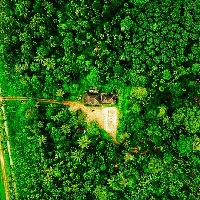Swastha Plantation Homestay Kaniyāmbetta 외부 사진